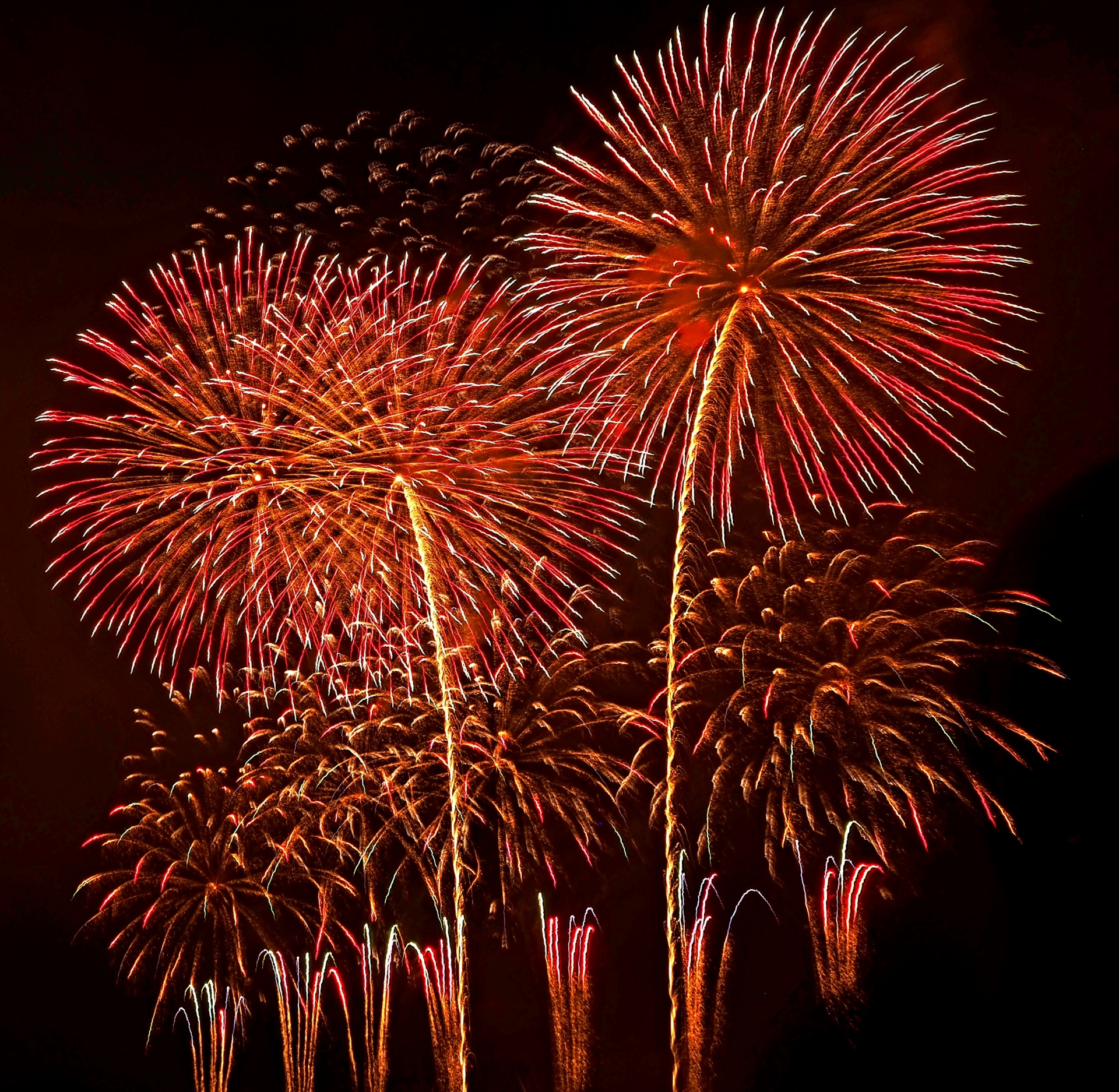 京都藝術花火