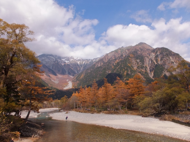 長野県 楓葉
