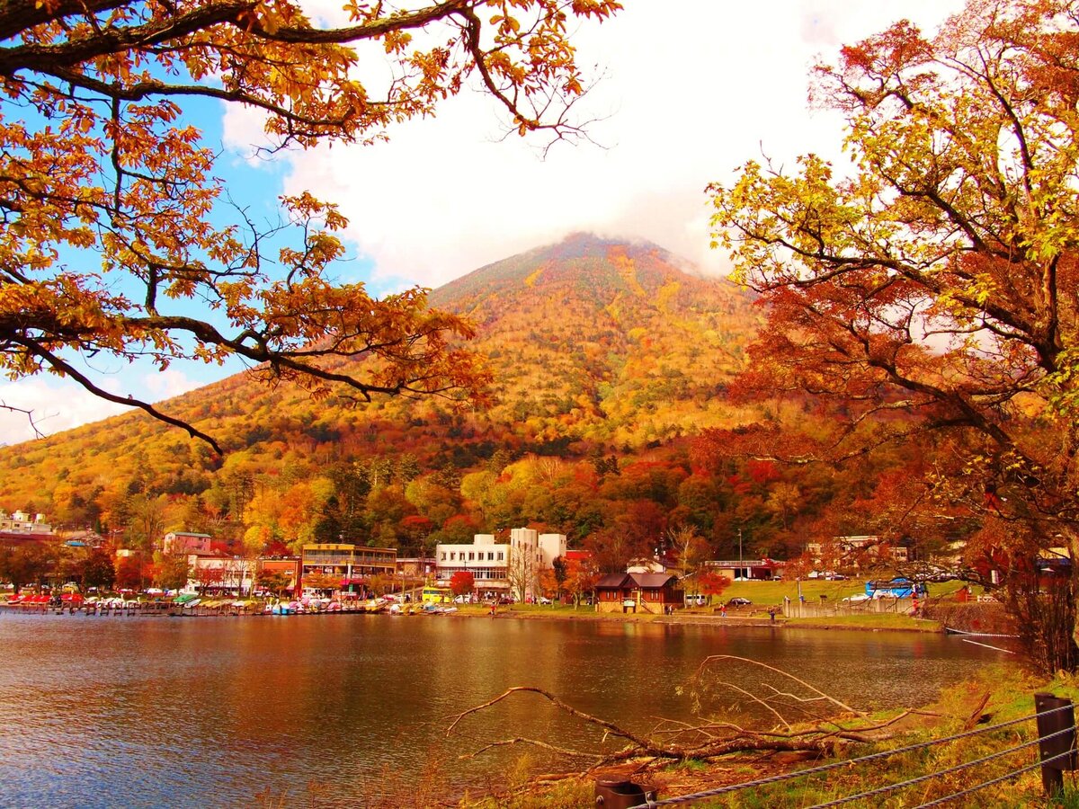 栃木県 楓葉