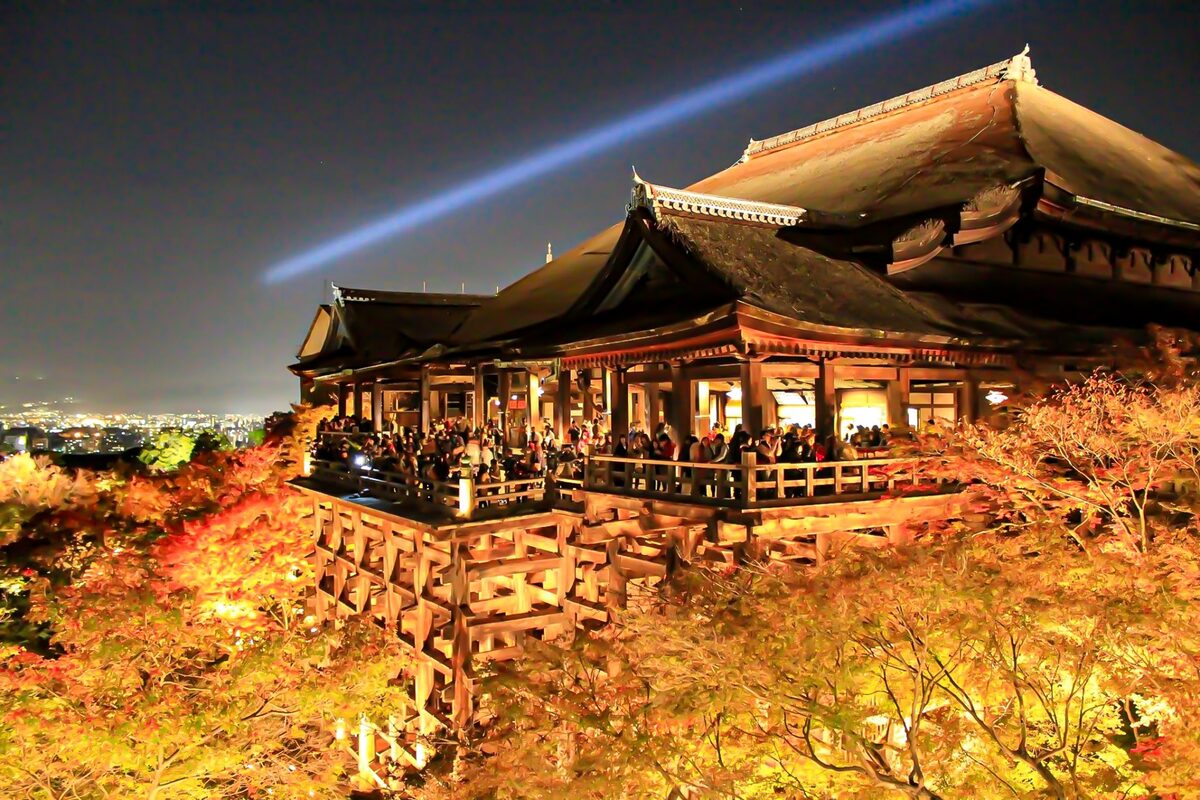 京都府 楓葉