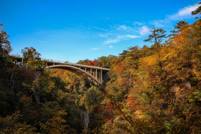 宮城県 楓葉