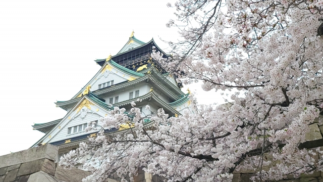 大阪府 櫻花